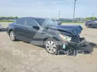 2008 Honda Accord фото