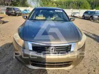 2008 Honda Accord photo