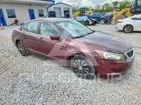 2008 Honda Accord фото
