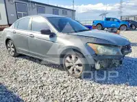 2008 Honda Accord фото