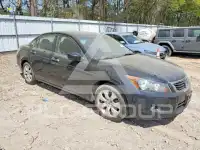 2008 Honda Accord фото