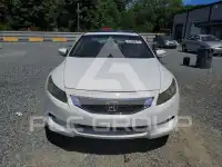 2008 Honda Accord фото