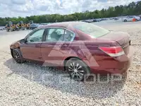 2008 Honda Accord фото