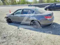2008 Honda Accord фото