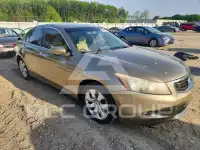 2008 Honda Accord photo