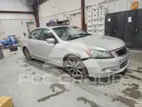 2008 Honda Accord фото