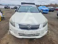 2008 Honda Accord фото