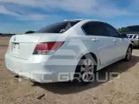 2008 Honda Accord photo