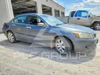 2008 Honda Accord фото
