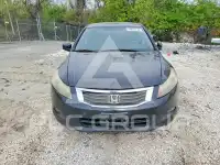 2008 Honda Accord фото
