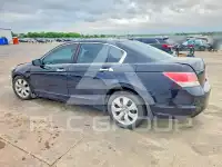 2008 Honda Accord фото