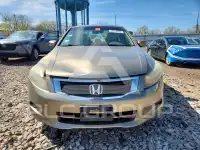 2008 Honda Accord фото
