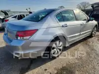 2008 Honda Accord фото