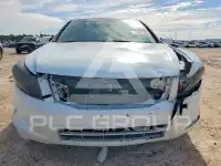 2008 Honda Accord photo