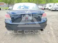 2008 Honda Accord фото