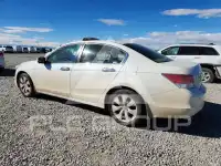 2008 Honda Accord фото