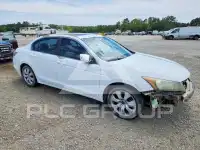 2008 Honda Accord photo