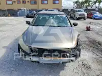 2008 Honda Accord фото