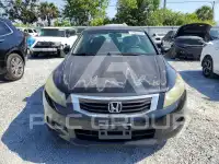2008 Honda Accord фото
