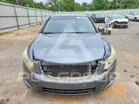 2008 Honda Accord фото
