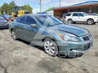 2008 Honda Accord фото