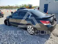 2008 Honda Accord фото