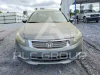 2008 Honda Accord фото