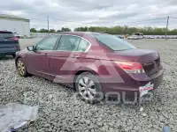 2008 Honda Accord фото