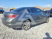 2008 Honda Accord фото