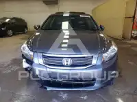 2008 Honda Accord фото