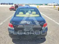 2008 Honda Accord photo