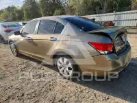2008 Honda Accord photo