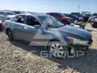 2008 Honda Accord фото