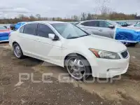 2008 Honda Accord фото
