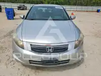 2008 Honda Accord фото