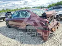 2008 Honda Accord фото