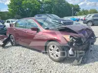 2008 Honda Accord фото