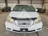 2008 Honda ODYSSEY photo