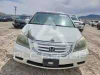 2008 Honda ODYSSEY фото