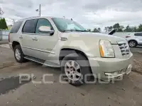 2008 Cadillac ESCALADE фото