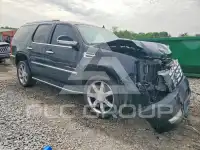 2008 Cadillac ESCALADE photo