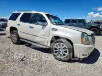 2008 Cadillac ESCALADE фото