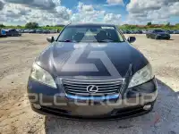 2008 Lexus ES фото