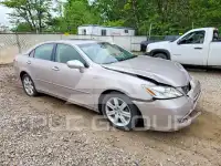 2008 Lexus ES350 фото