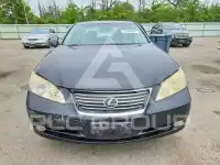 2008 Lexus ES350 фото