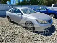 2008 Lexus ES350 фото
