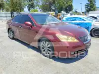 2008 Lexus ES350 фото