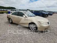2008 Lexus ES350 photo