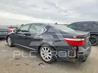 2008 Lexus LS460 фото
