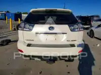2008 Lexus RX фото